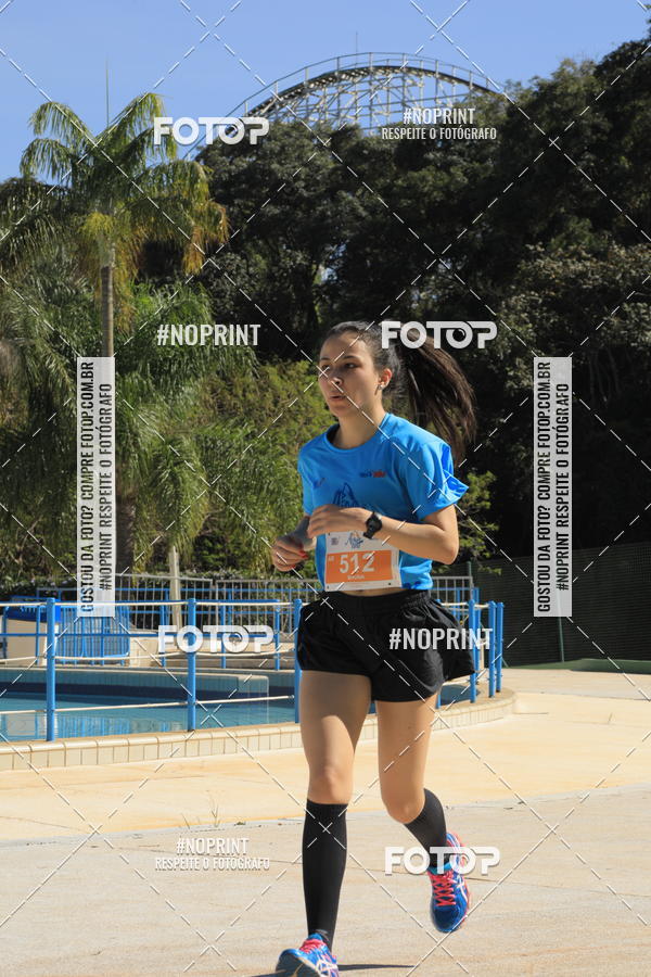 Buy your photos of the eventACQUAFEST WET�N WILD 2019 on Fotop