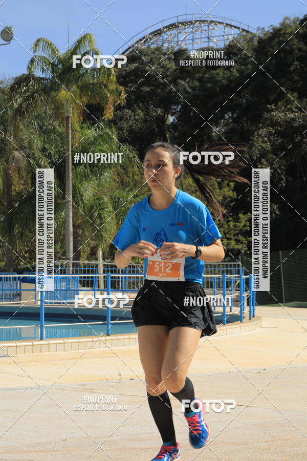 Buy your photos of the eventACQUAFEST WET�N WILD 2019 on Fotop