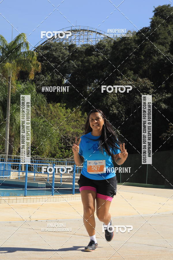 Buy your photos of the eventACQUAFEST WET�N WILD 2019 on Fotop