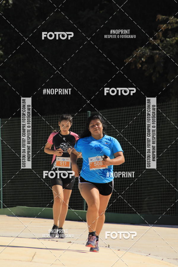 Buy your photos of the eventACQUAFEST WET�N WILD 2019 on Fotop