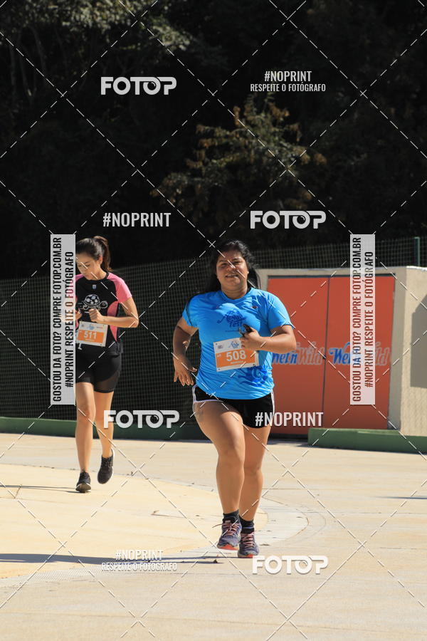 Buy your photos of the eventACQUAFEST WET�N WILD 2019 on Fotop