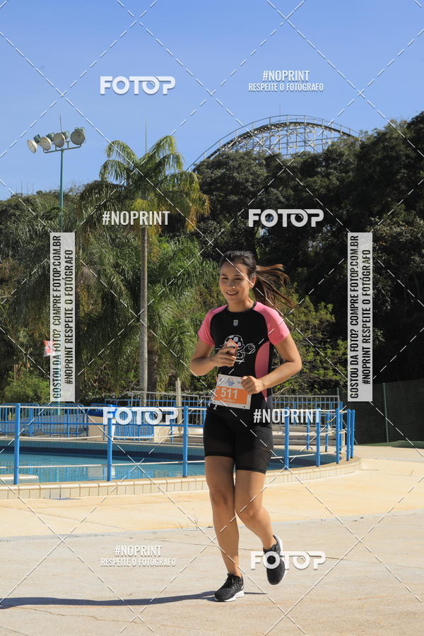 Buy your photos of the eventACQUAFEST WET�N WILD 2019 on Fotop