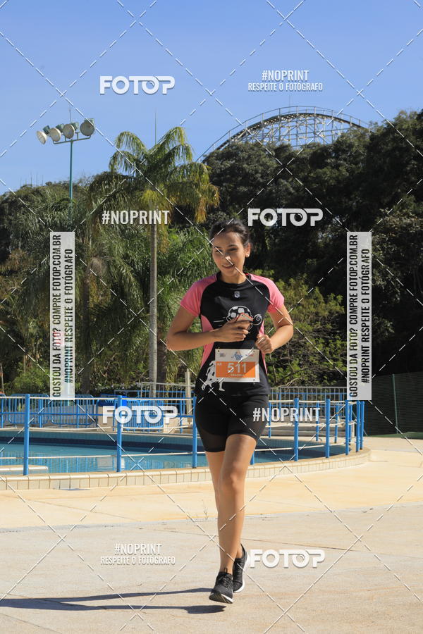 Buy your photos of the eventACQUAFEST WET�N WILD 2019 on Fotop