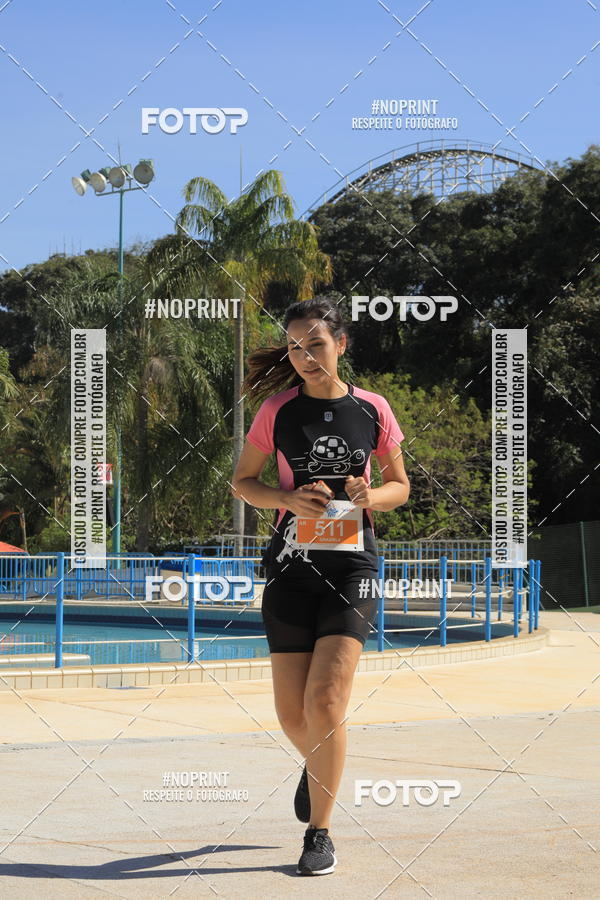 Buy your photos of the eventACQUAFEST WET�N WILD 2019 on Fotop