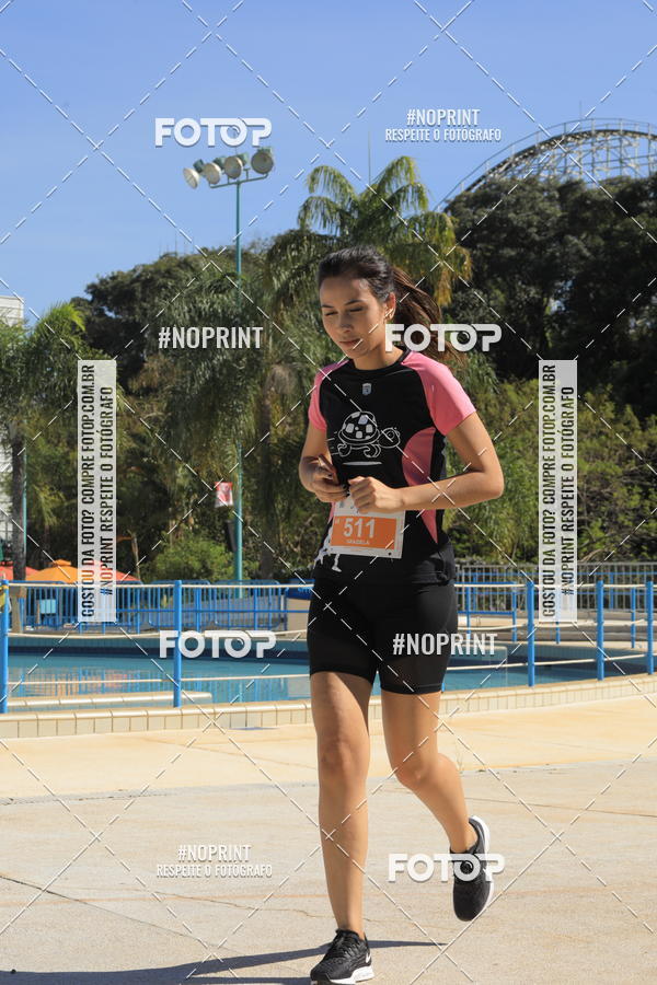 Buy your photos of the eventACQUAFEST WET�N WILD 2019 on Fotop