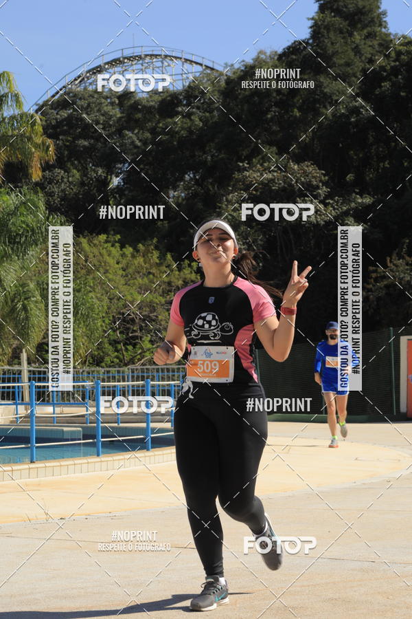 Buy your photos of the eventACQUAFEST WET�N WILD 2019 on Fotop