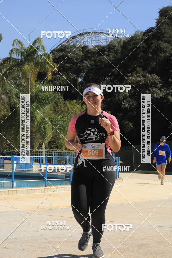 Buy your photos of the eventACQUAFEST WET�N WILD 2019 on Fotop