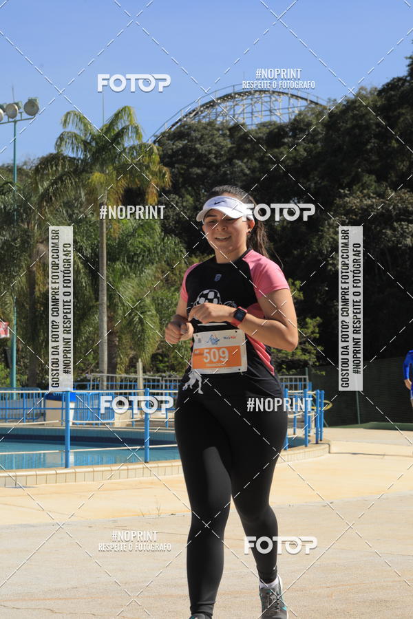 Buy your photos of the eventACQUAFEST WET�N WILD 2019 on Fotop