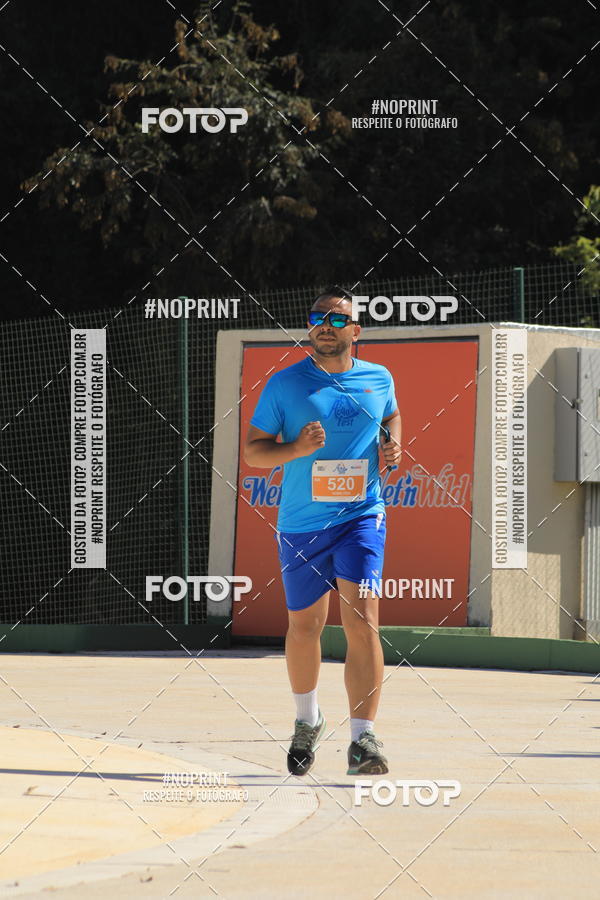 Buy your photos of the eventACQUAFEST WET�N WILD 2019 on Fotop