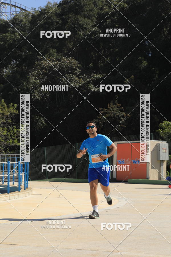 Buy your photos of the eventACQUAFEST WET�N WILD 2019 on Fotop