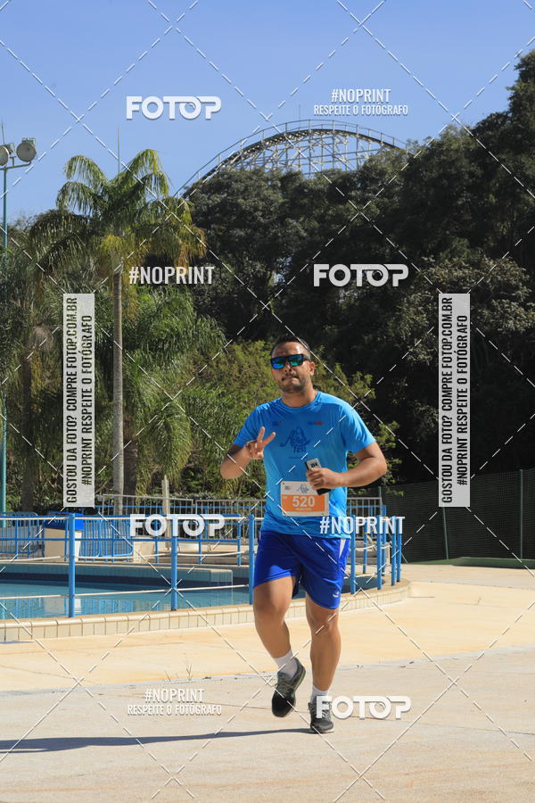 Buy your photos of the eventACQUAFEST WET�N WILD 2019 on Fotop