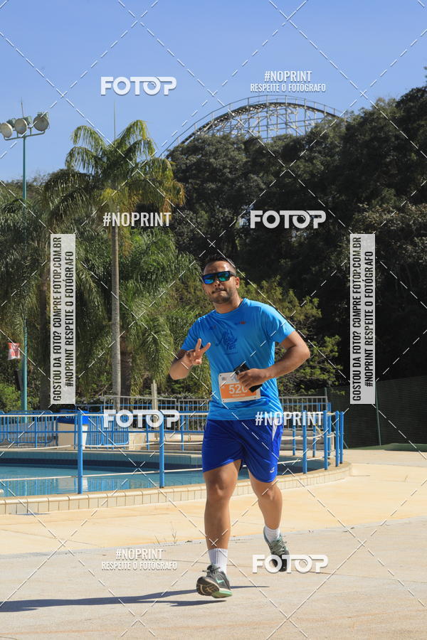 Buy your photos of the eventACQUAFEST WET�N WILD 2019 on Fotop