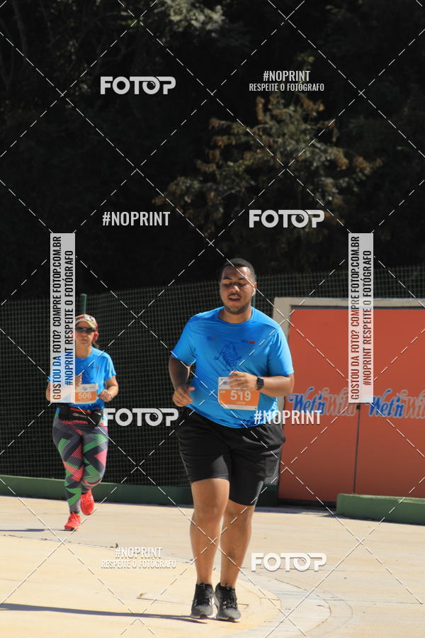 Buy your photos of the eventACQUAFEST WET�N WILD 2019 on Fotop