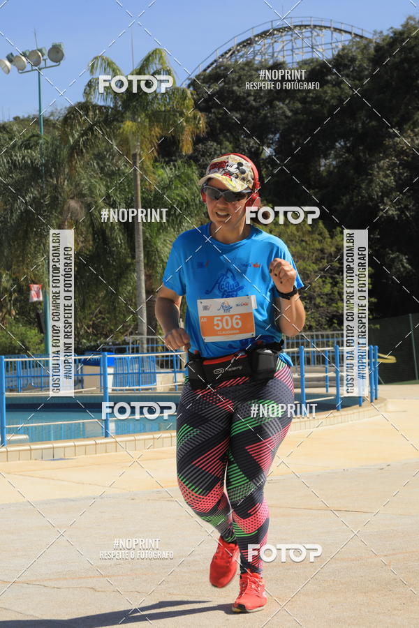 Buy your photos of the eventACQUAFEST WET�N WILD 2019 on Fotop