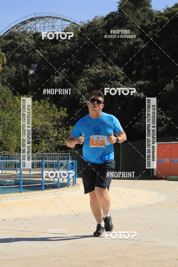 Buy your photos of the eventACQUAFEST WET�N WILD 2019 on Fotop