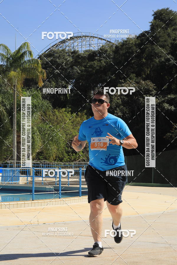 Buy your photos of the eventACQUAFEST WET�N WILD 2019 on Fotop