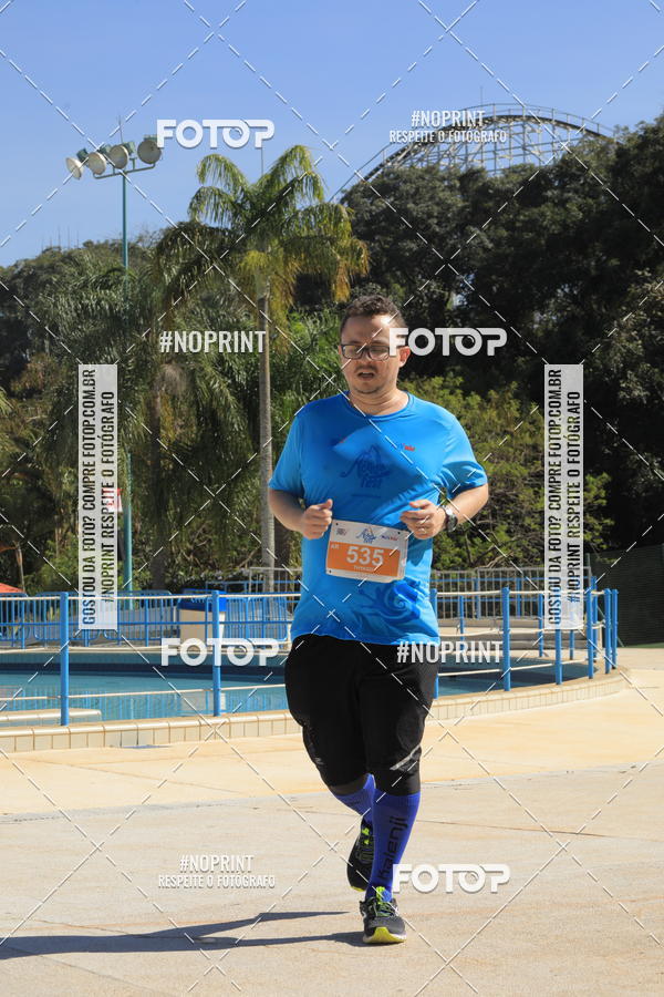 Buy your photos of the eventACQUAFEST WET�N WILD 2019 on Fotop