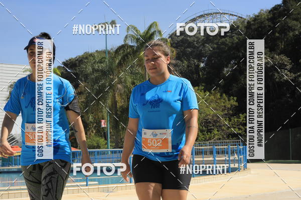 Buy your photos of the eventACQUAFEST WET�N WILD 2019 on Fotop