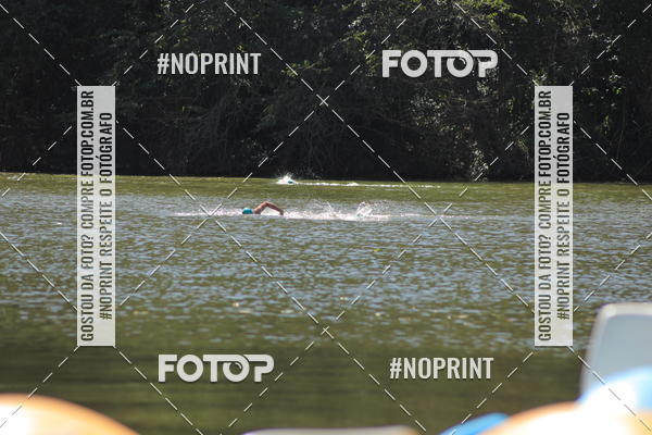 Buy your photos of the eventACQUAFEST WET�N WILD 2019 on Fotop