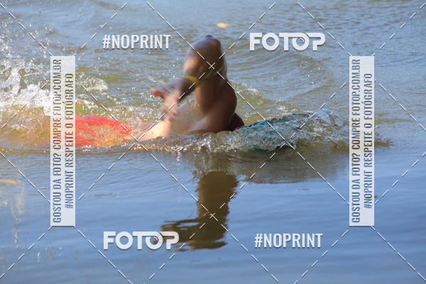 Buy your photos of the eventACQUAFEST WET�N WILD 2019 on Fotop