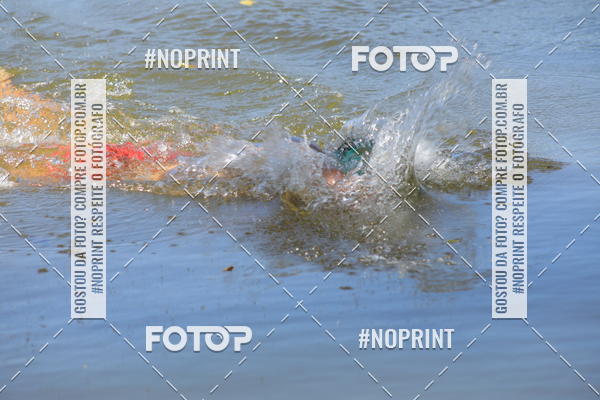 Buy your photos of the eventACQUAFEST WET�N WILD 2019 on Fotop