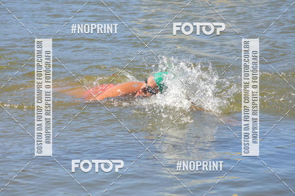 Buy your photos of the eventACQUAFEST WET�N WILD 2019 on Fotop