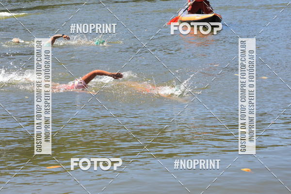 Buy your photos of the eventACQUAFEST WET�N WILD 2019 on Fotop