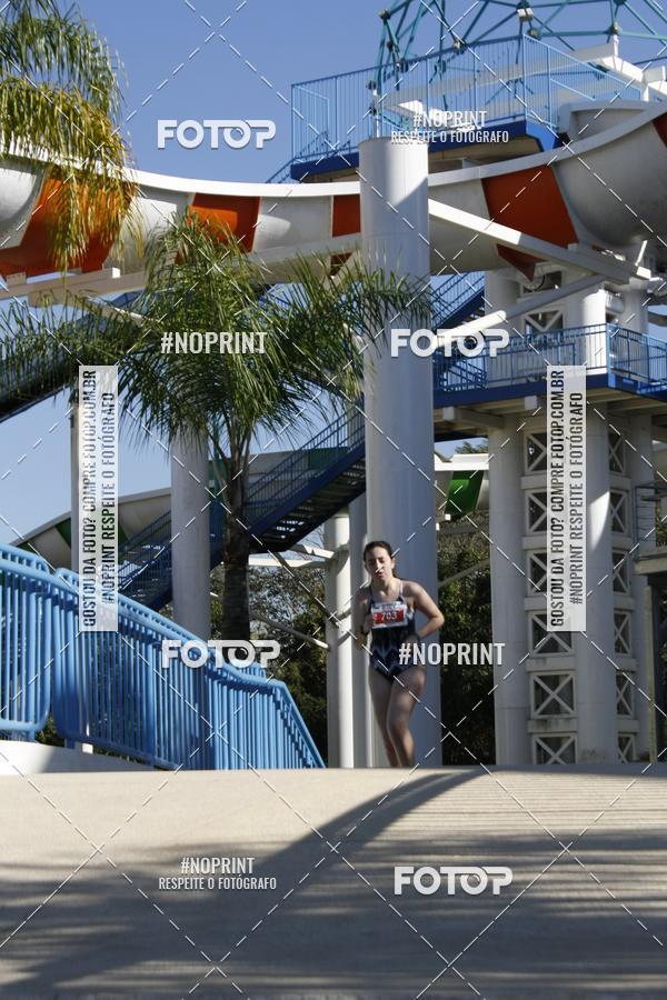 Buy your photos of the eventACQUAFEST WET�N WILD 2019 on Fotop