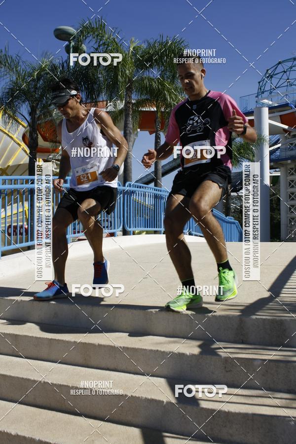 Buy your photos of the eventACQUAFEST WET�N WILD 2019 on Fotop