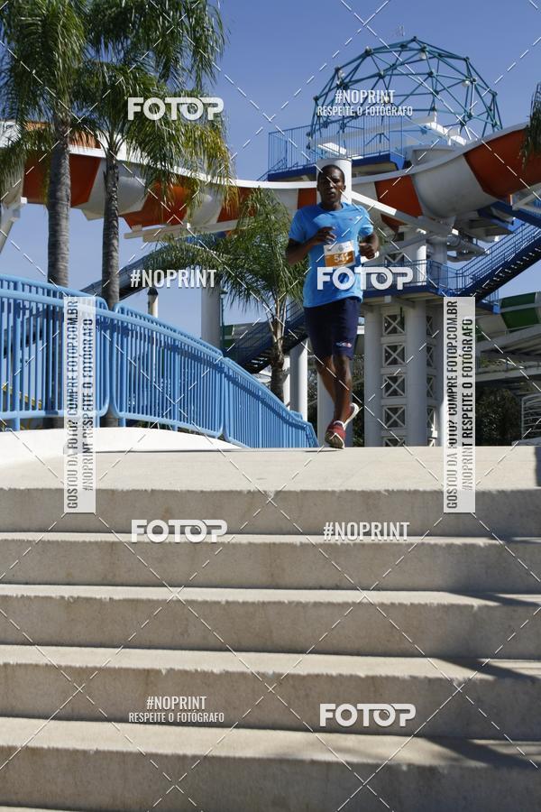 Buy your photos of the eventACQUAFEST WET�N WILD 2019 on Fotop