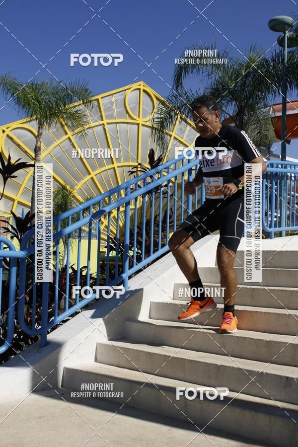 Buy your photos of the eventACQUAFEST WET�N WILD 2019 on Fotop