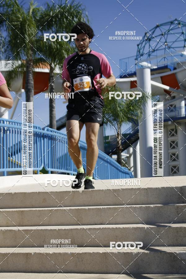 Buy your photos of the eventACQUAFEST WET�N WILD 2019 on Fotop