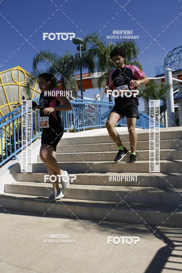 Buy your photos of the eventACQUAFEST WET�N WILD 2019 on Fotop