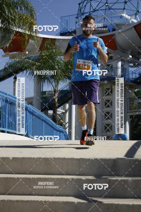 Buy your photos of the eventACQUAFEST WET�N WILD 2019 on Fotop