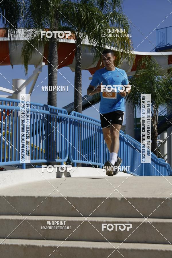 Buy your photos of the eventACQUAFEST WET�N WILD 2019 on Fotop