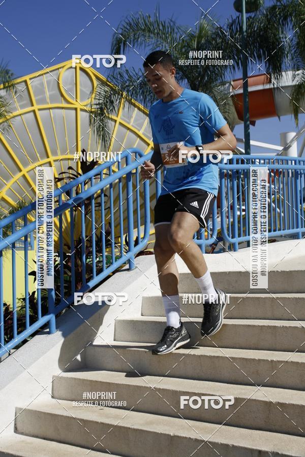 Buy your photos of the eventACQUAFEST WET�N WILD 2019 on Fotop