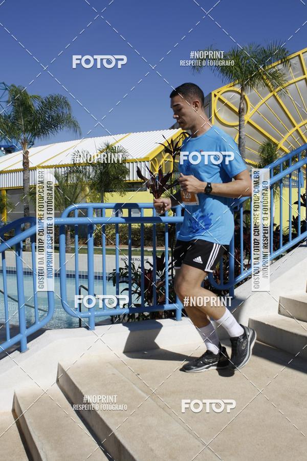 Buy your photos of the eventACQUAFEST WET�N WILD 2019 on Fotop