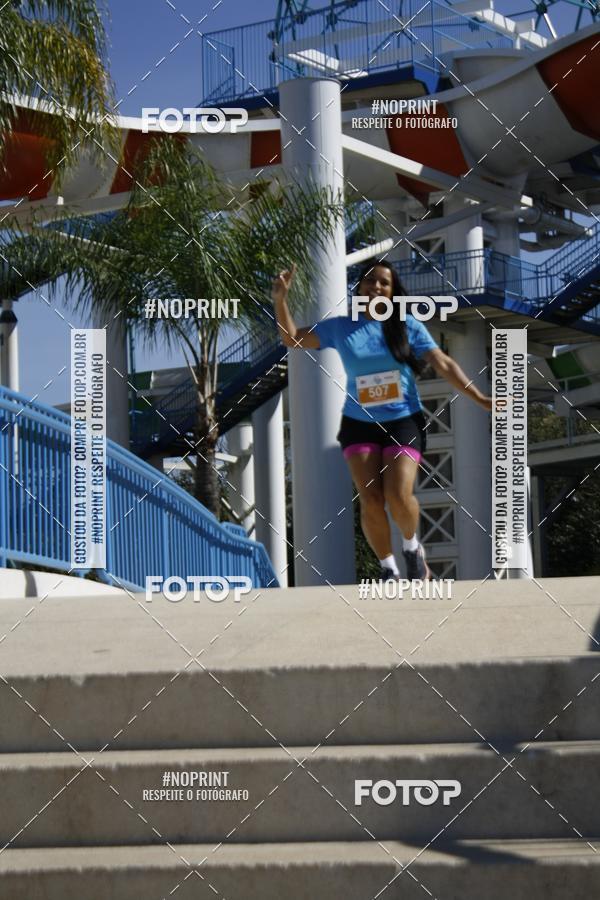 Buy your photos of the eventACQUAFEST WET�N WILD 2019 on Fotop