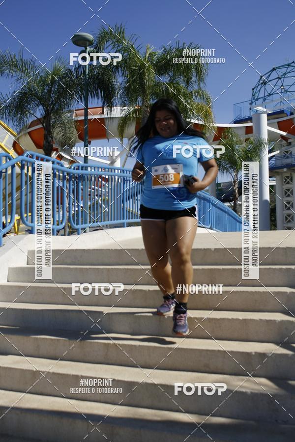 Buy your photos of the eventACQUAFEST WET�N WILD 2019 on Fotop