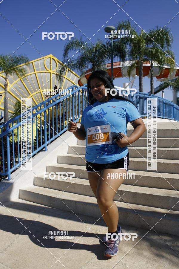 Buy your photos of the eventACQUAFEST WET�N WILD 2019 on Fotop