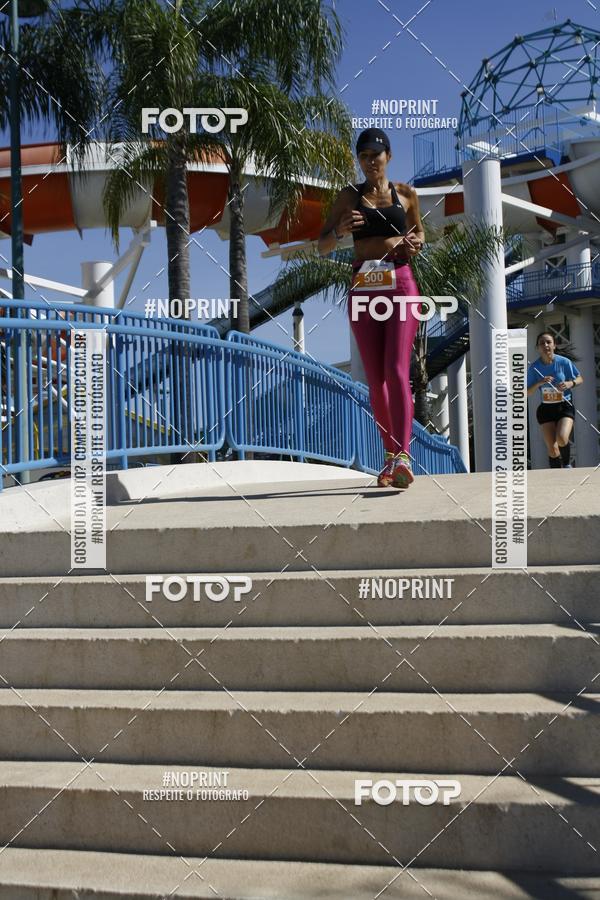 Buy your photos of the eventACQUAFEST WET�N WILD 2019 on Fotop