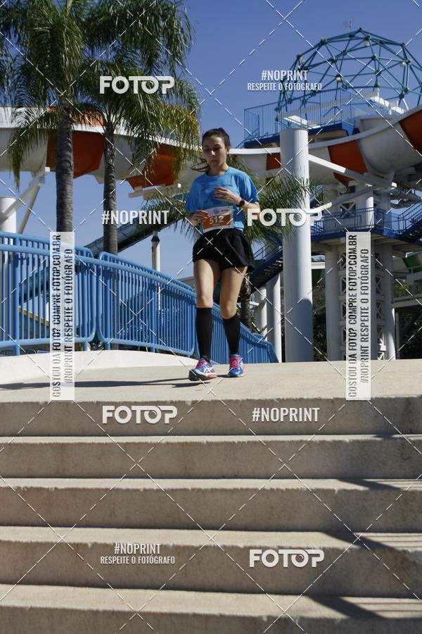 Buy your photos of the eventACQUAFEST WET�N WILD 2019 on Fotop