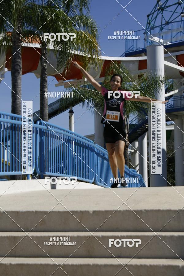 Buy your photos of the eventACQUAFEST WET�N WILD 2019 on Fotop