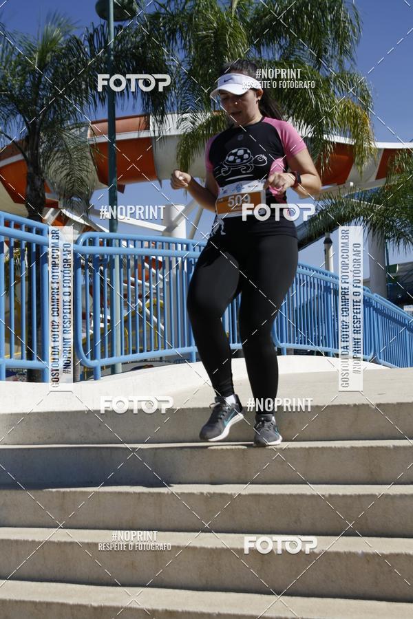 Buy your photos of the eventACQUAFEST WET�N WILD 2019 on Fotop