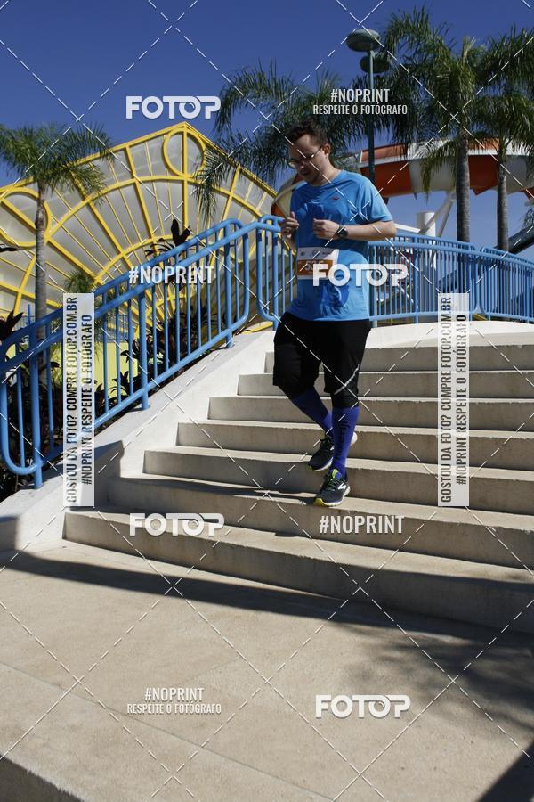 Buy your photos of the eventACQUAFEST WET�N WILD 2019 on Fotop