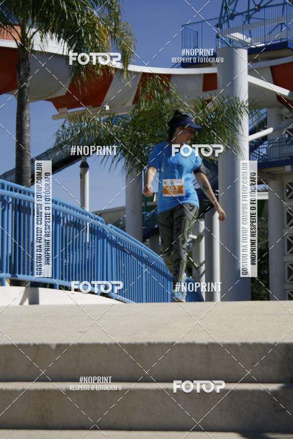 Buy your photos of the eventACQUAFEST WET�N WILD 2019 on Fotop