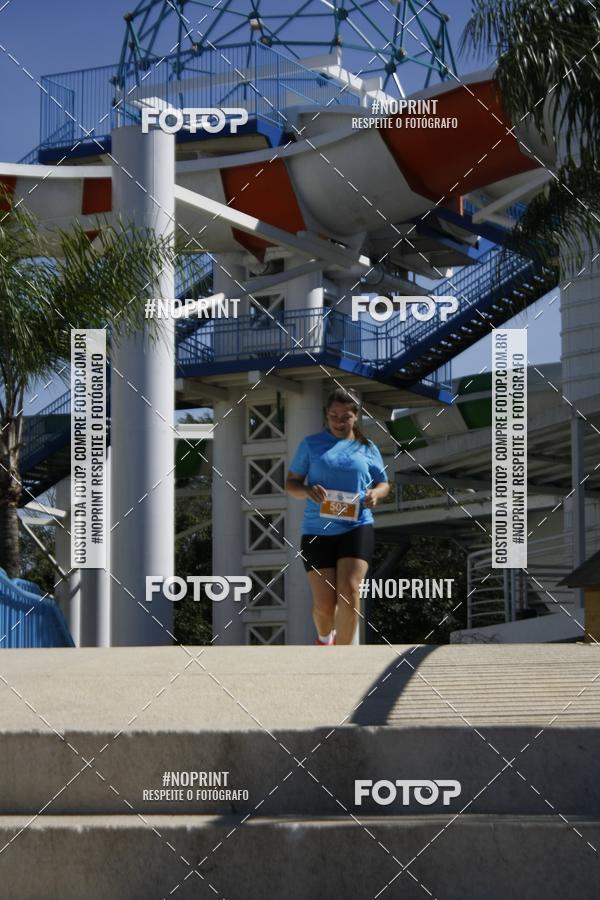 Buy your photos of the eventACQUAFEST WET�N WILD 2019 on Fotop