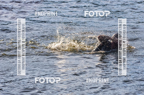 Buy your photos of the eventACQUAFEST WET�N WILD 2019 on Fotop