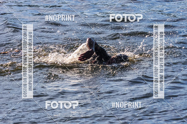 Buy your photos of the eventACQUAFEST WET�N WILD 2019 on Fotop