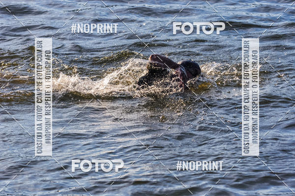 Buy your photos of the eventACQUAFEST WET�N WILD 2019 on Fotop